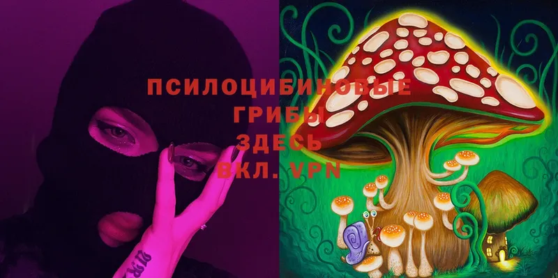 Галлюциногенные грибы Magic Shrooms  закладки  Ивантеевка 